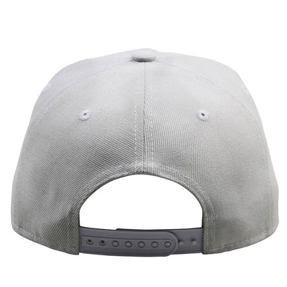UNLIMITED Snapback Hat Gray